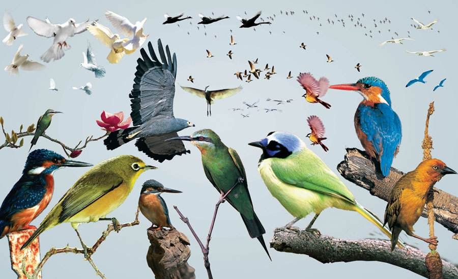 回顾:恐龙灭亡时发生了什么?墨西哥的岩石样本,揭示