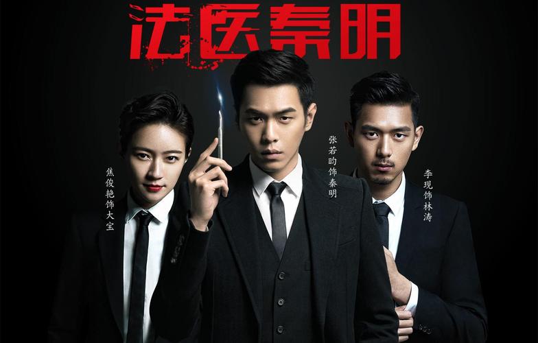 破案的电视剧有哪些