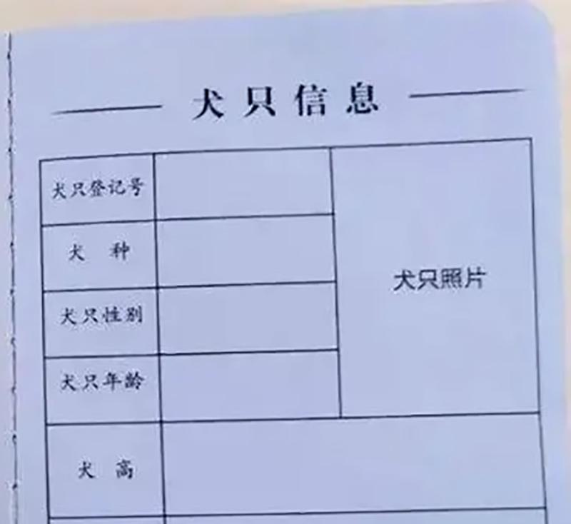 19年上海黑狗咬人后离奇失踪,主人表情诡异,警方调查发现不简单