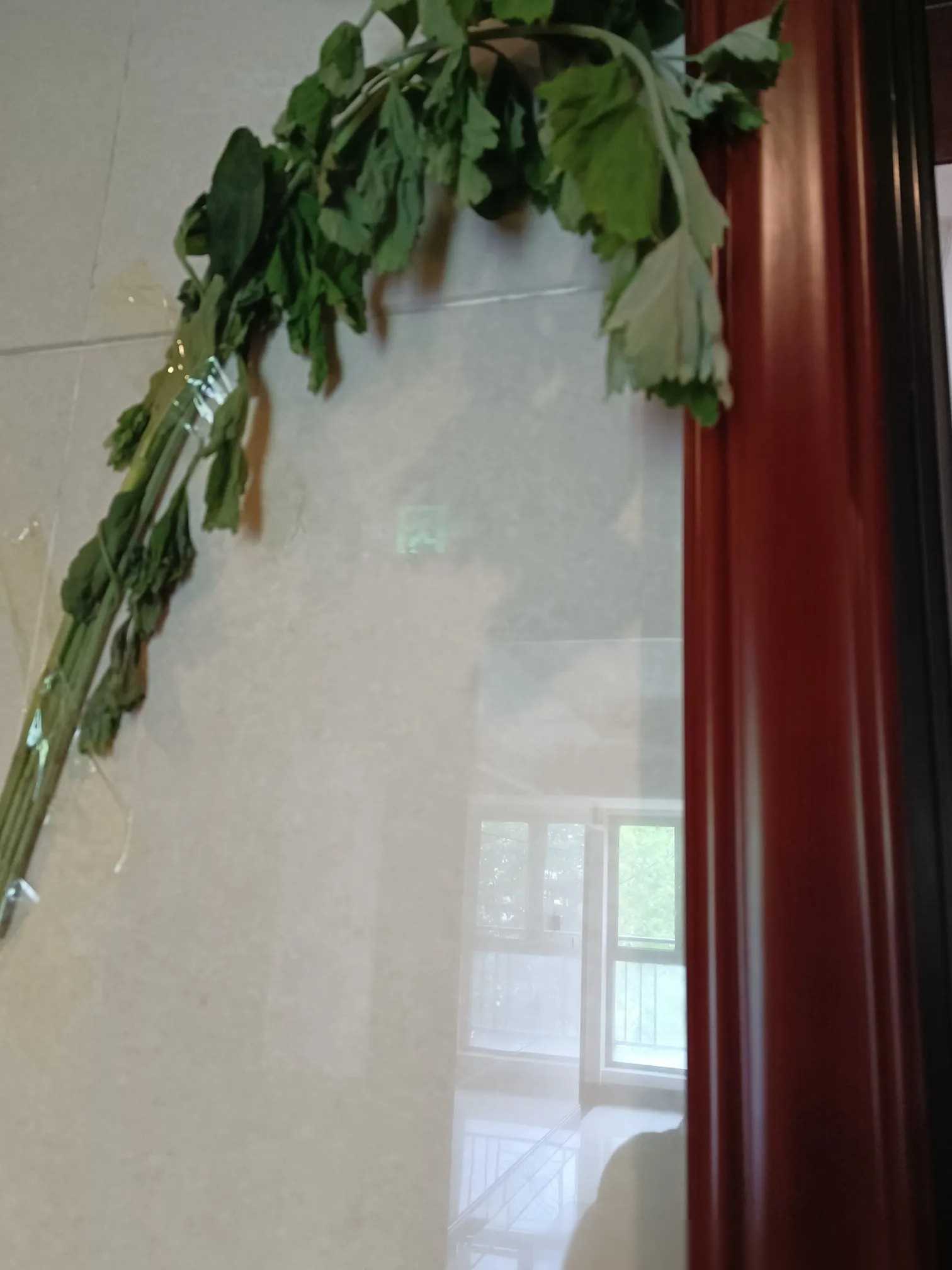 以前我总是不信这些,但今年我决定买一个香囊挂在脚脖子上.