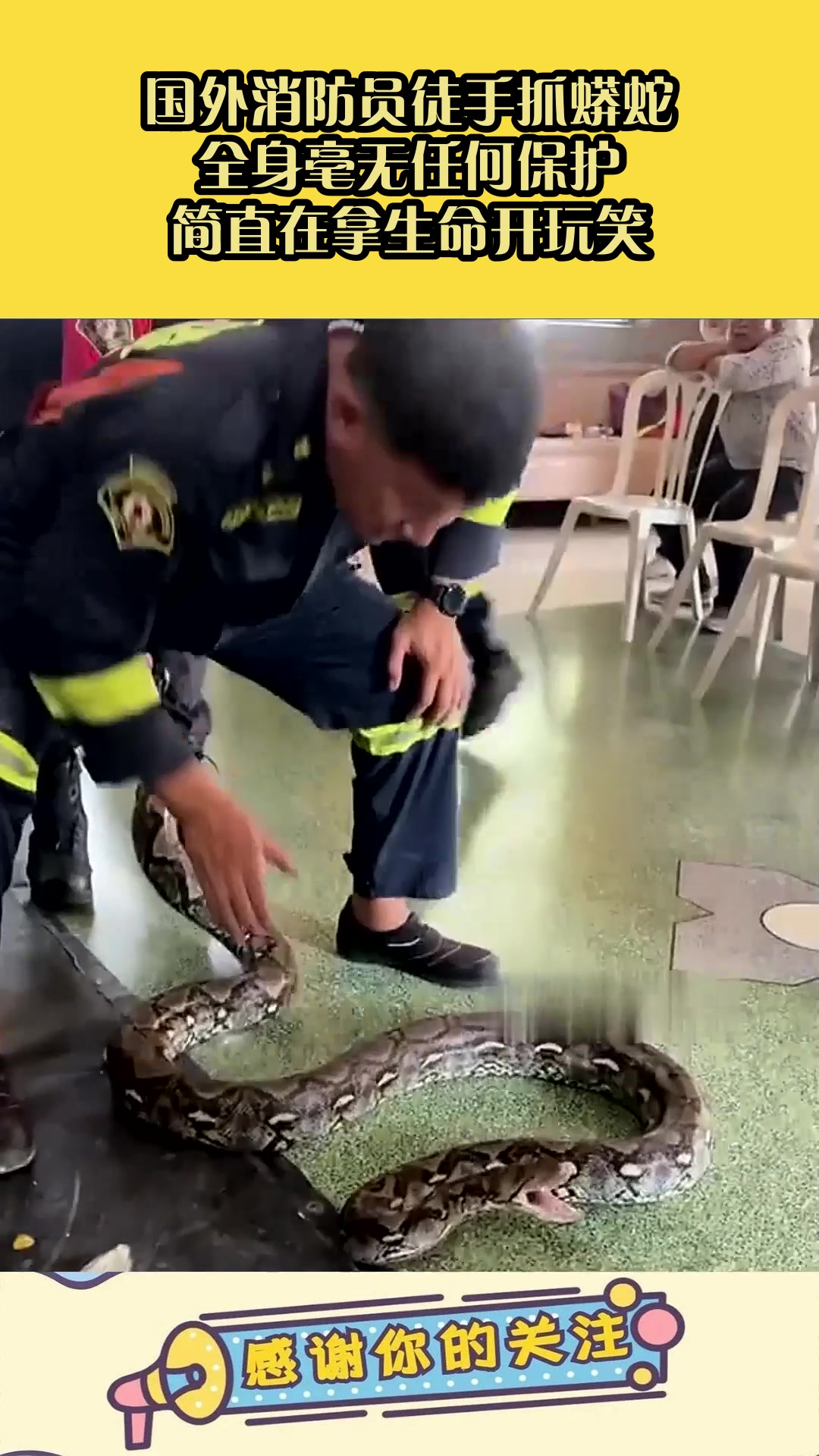 国外消防员徒手抓蟒蛇,全身毫无任何保护,简直在拿生命开玩笑!