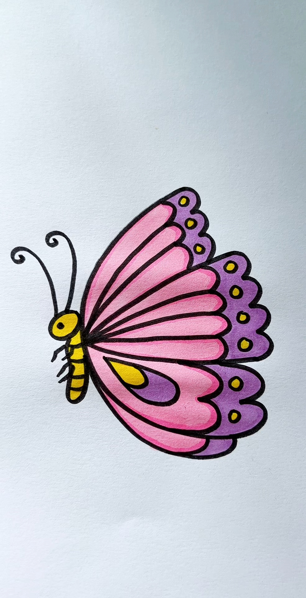 一起来画只漂亮的蝴蝶吧