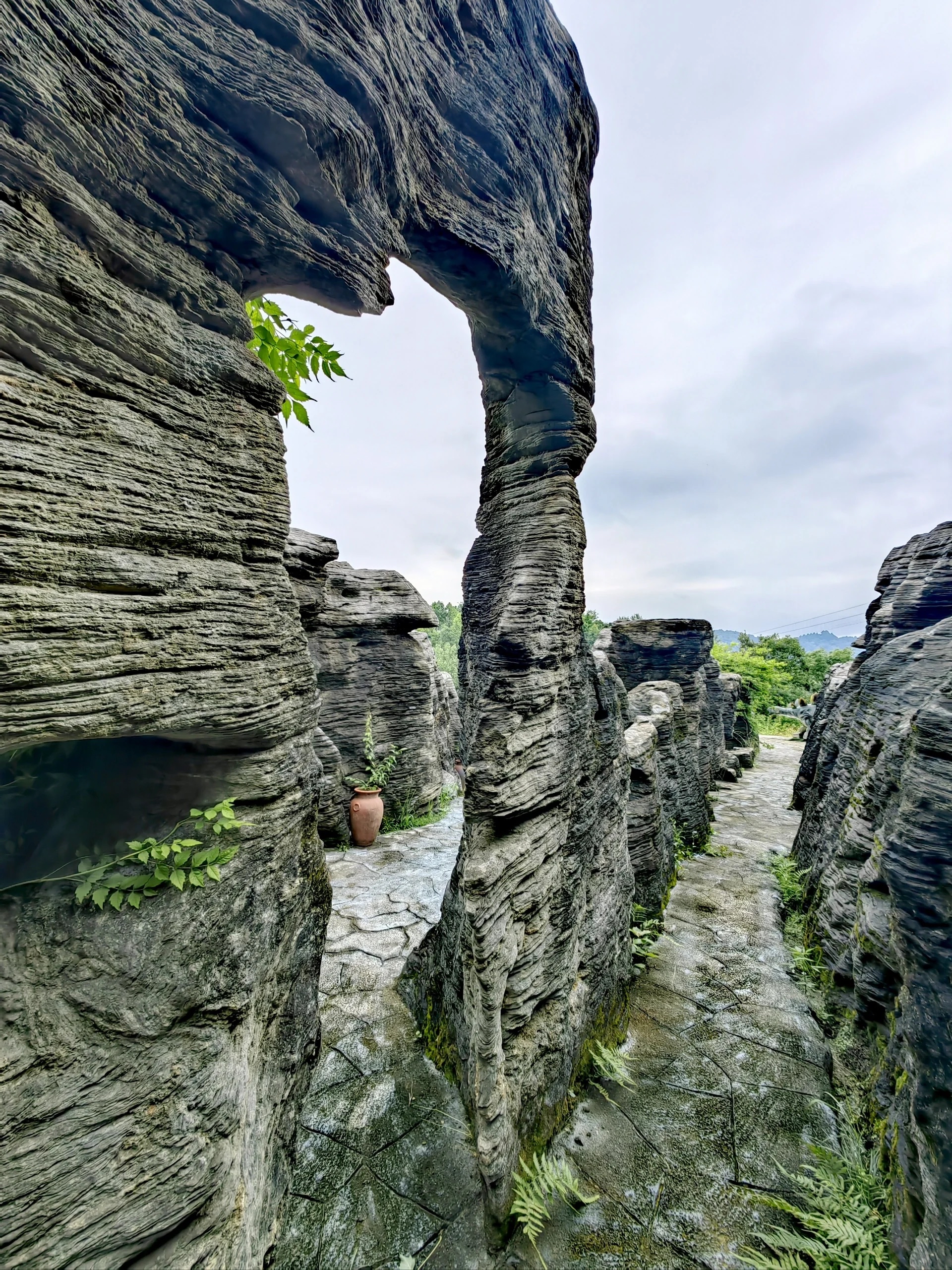 黄山石林风景区图片图片