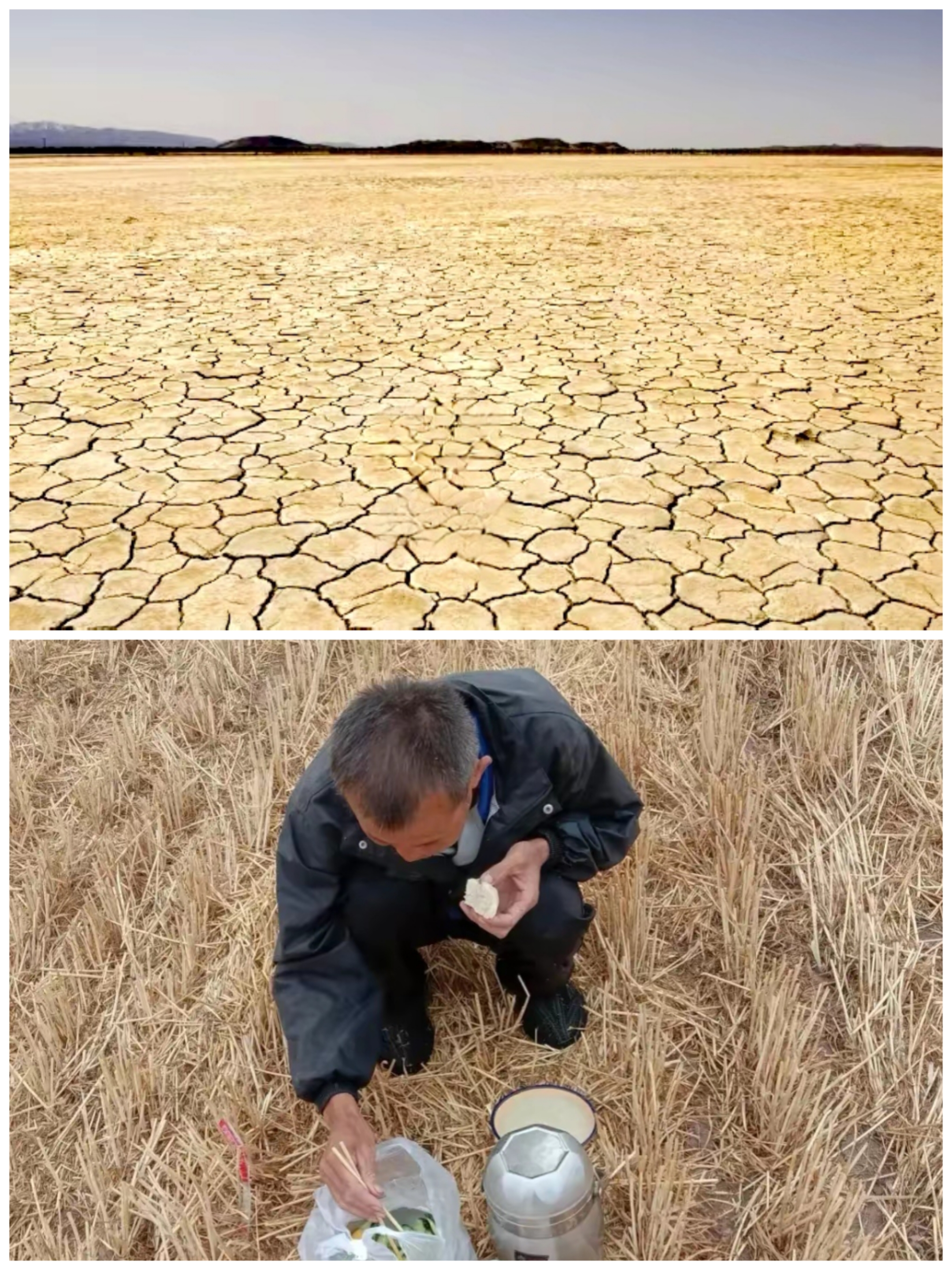 赣南土地 的温床 民生难题相关图片2