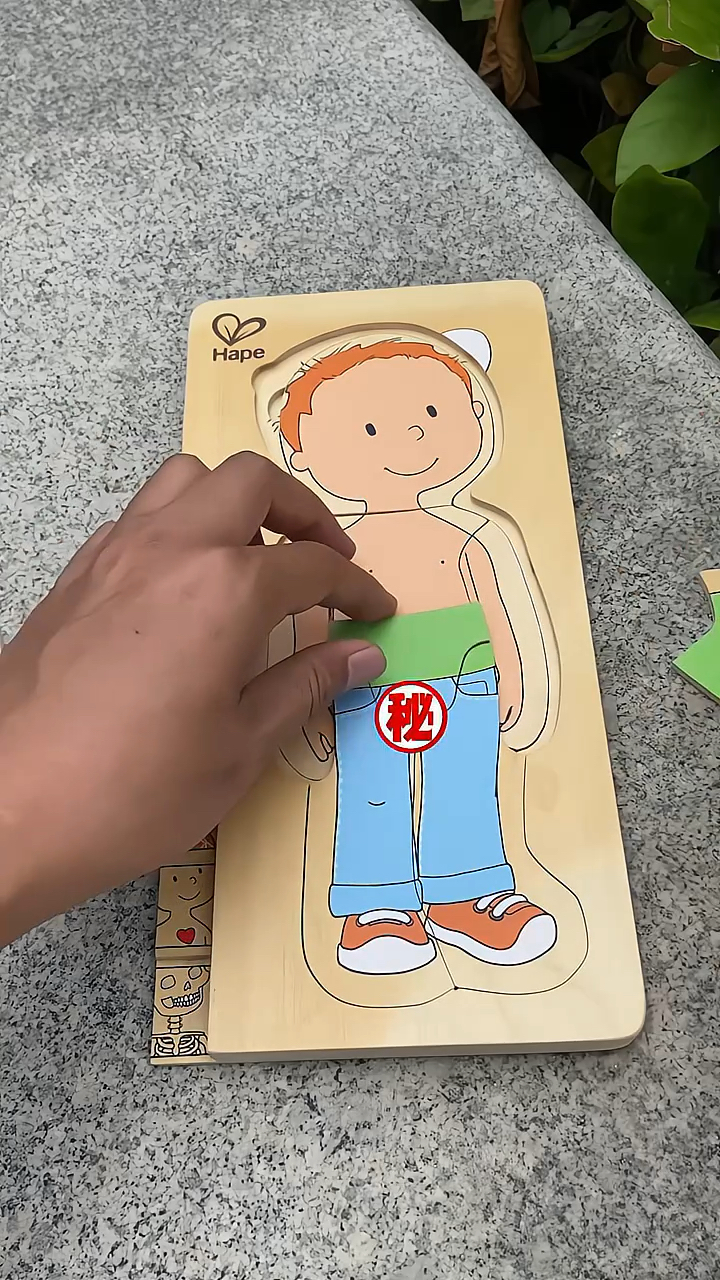 有意思的拼图带你认识身体器官与结构