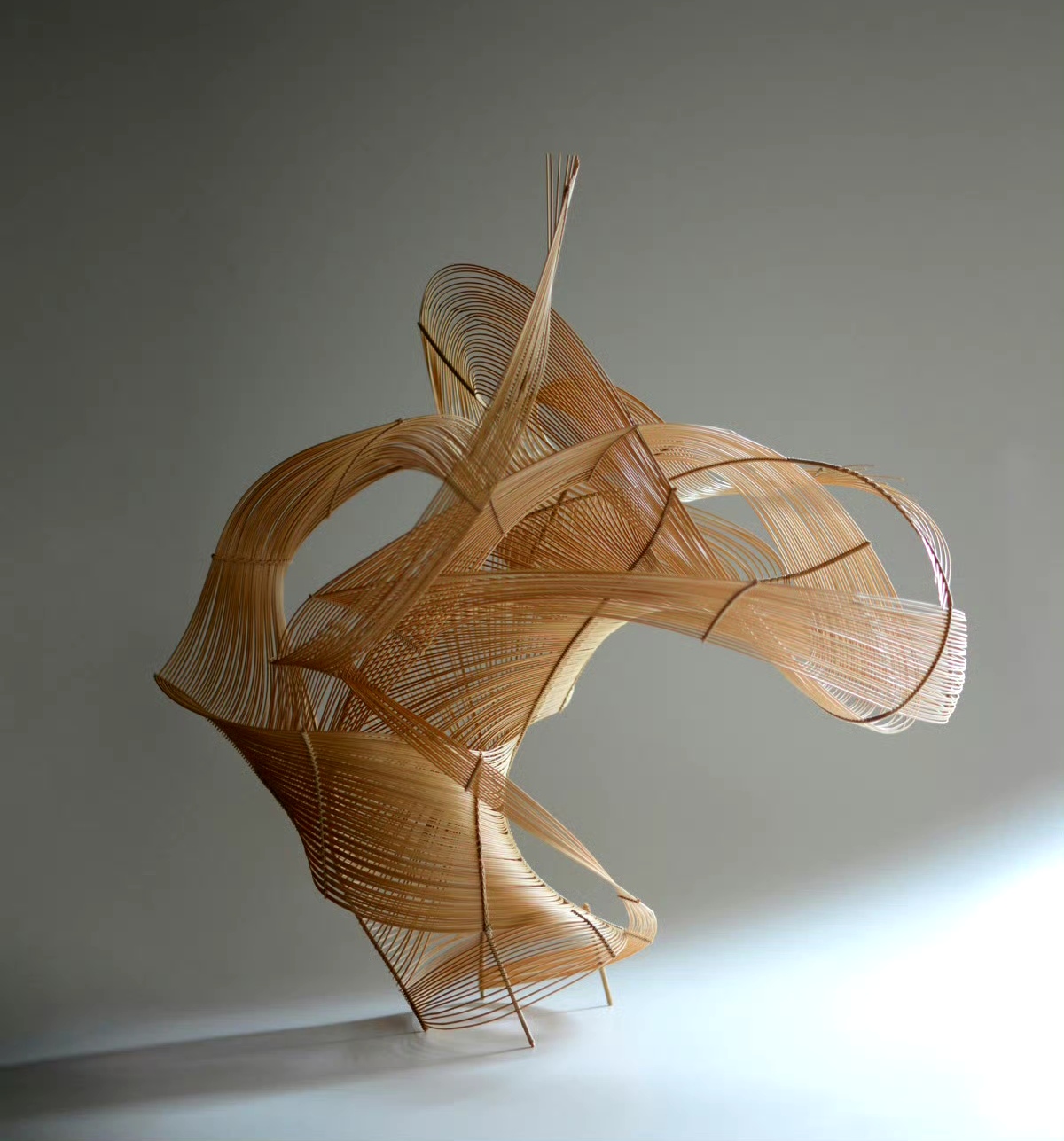 以竹子这一传统材料作为他雕塑的创作来,用柔软的竹条编织出超现实