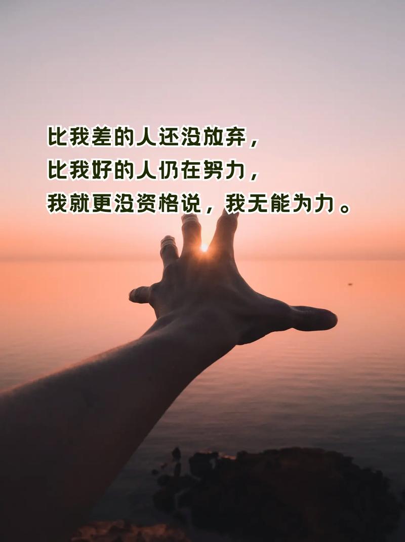 面朝阳光努力成长