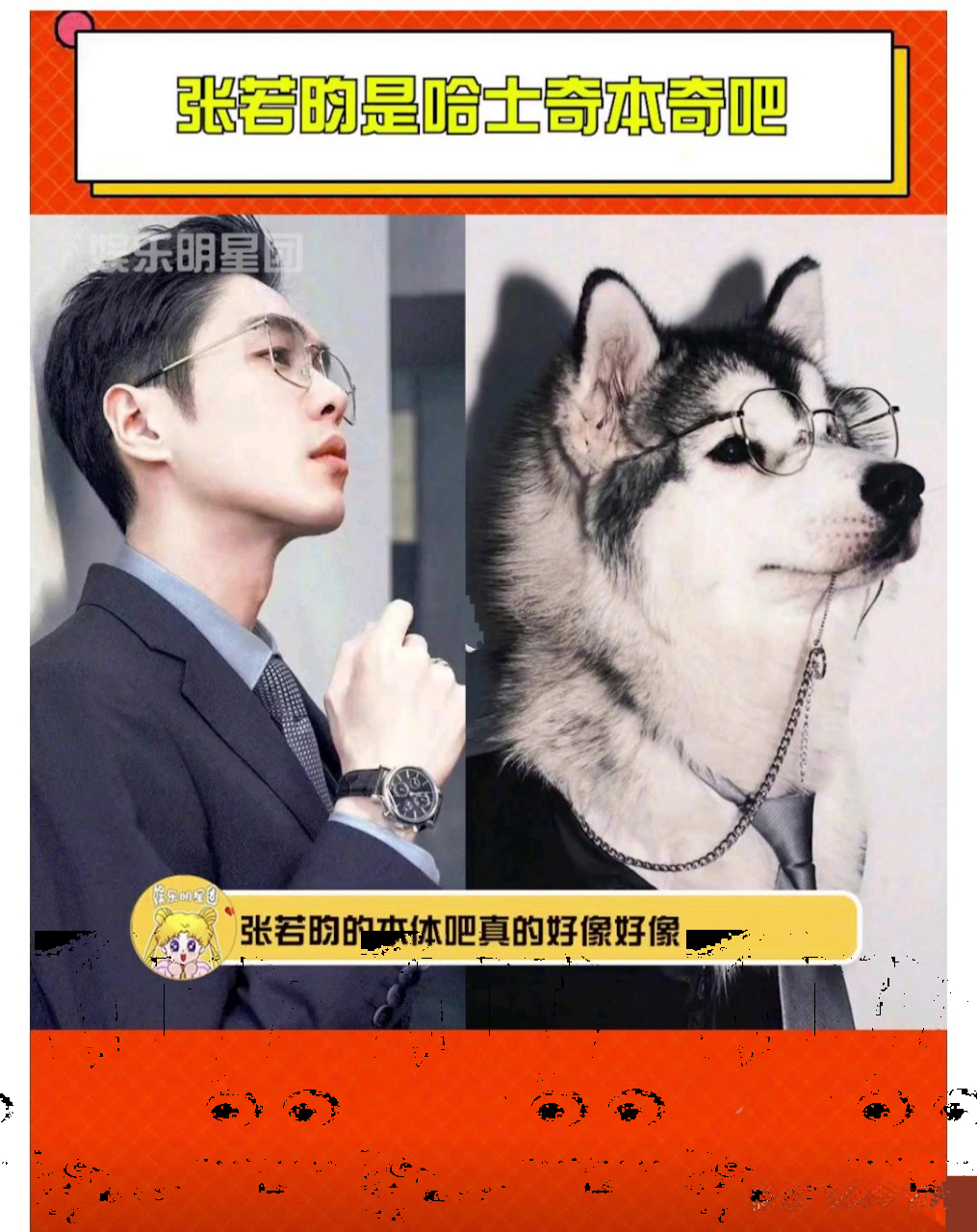 张若昀,太狗了真像哈士奇啊,内娱除了鼠系男艺人还有?系男艺人了