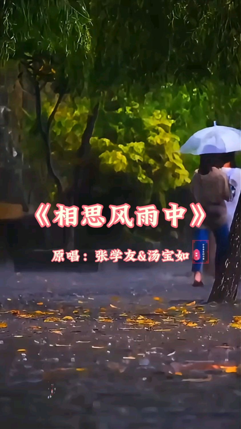 相思风雨中图片欣赏图片