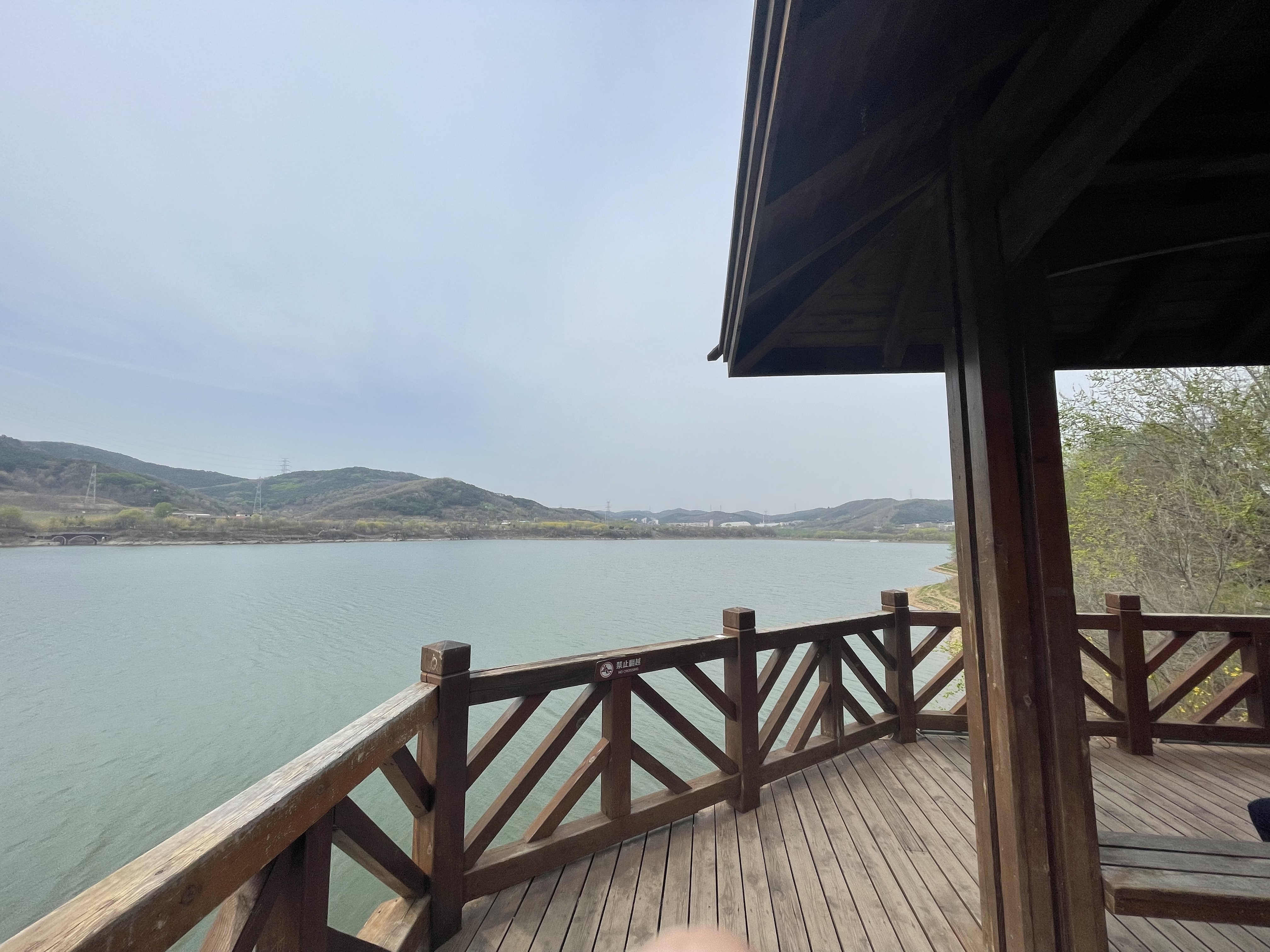 她拒绝社会毒打坚持考研