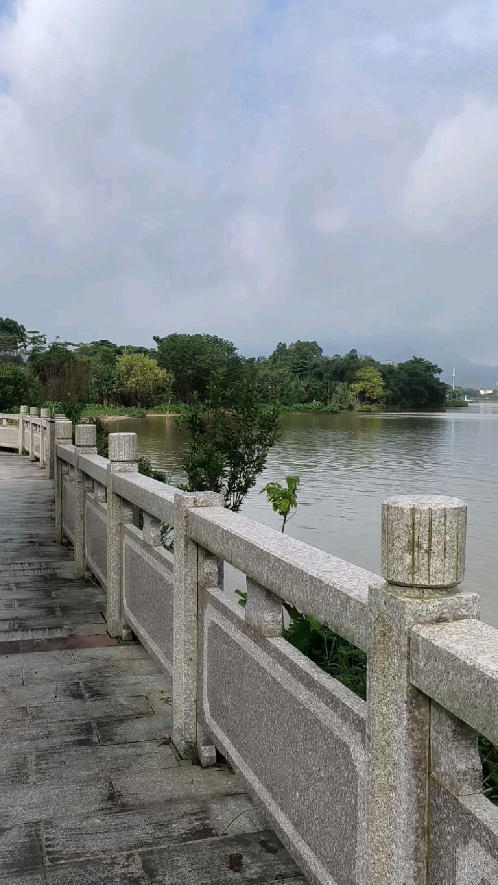 广东肇庆四会绥江湿地公园贞山段,变化太大了