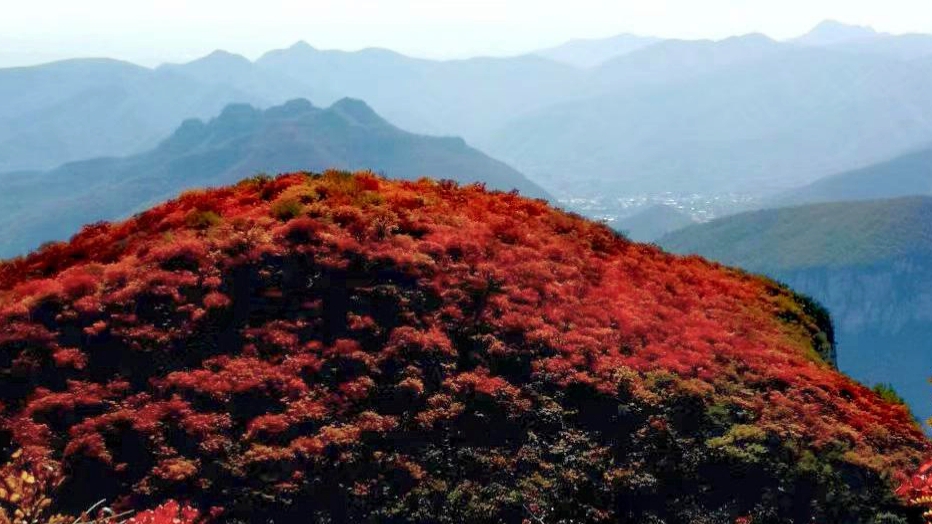 邢台沙河佛照山,不仅有深秋红叶,还有夏日的清凉