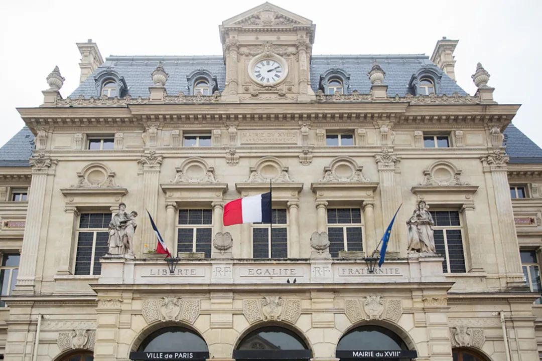 一只猫称霸了巴黎区政府,人人都让它三分