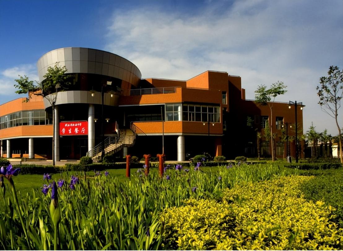 在第二本书出版之时,学校和出版社联合为林嘉文办了一场新书发表会.