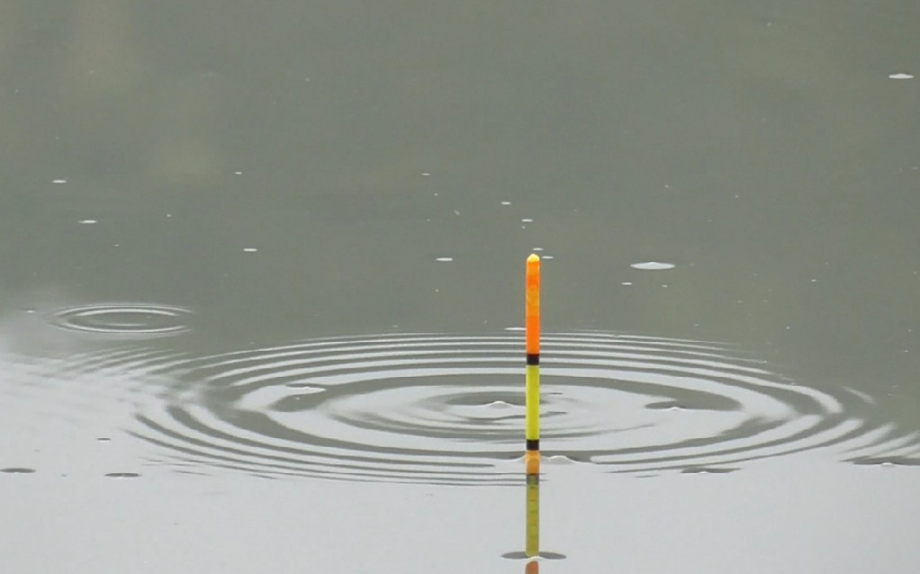 浮漂加粗尾部分参不参加调钓?争论不休,正确使用方法应该这样