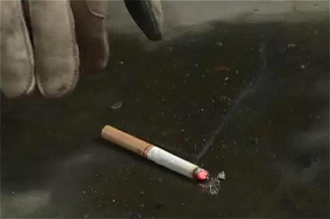 1995年浙江灭门惨案,22年后靠烟头破案,凶手却"易容"成知名作家