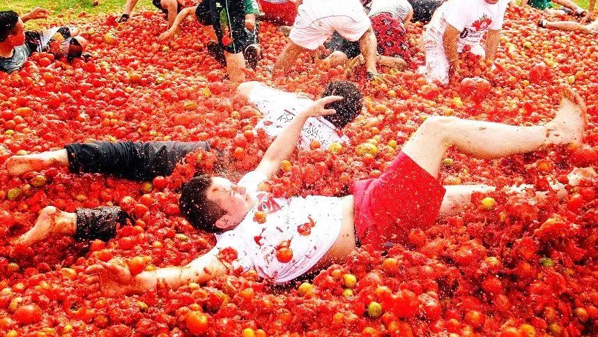 西班牙番茄节的趣味战斗