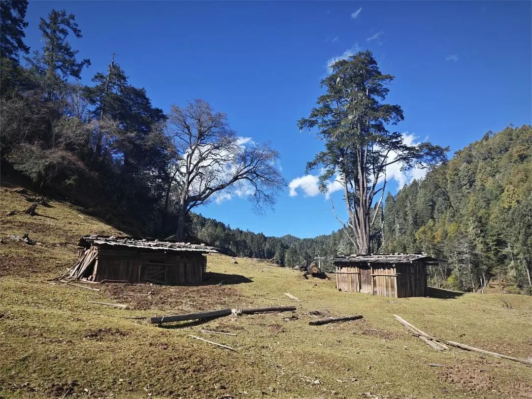 走进怒江兰坪,探秘银(盐)马千年古道