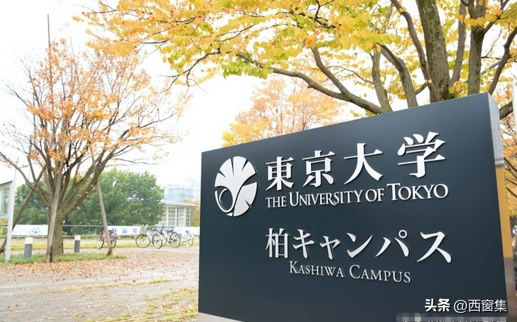 是方向还是榜样!日本东京大学海归等,入职安徽乡镇公务员引热议