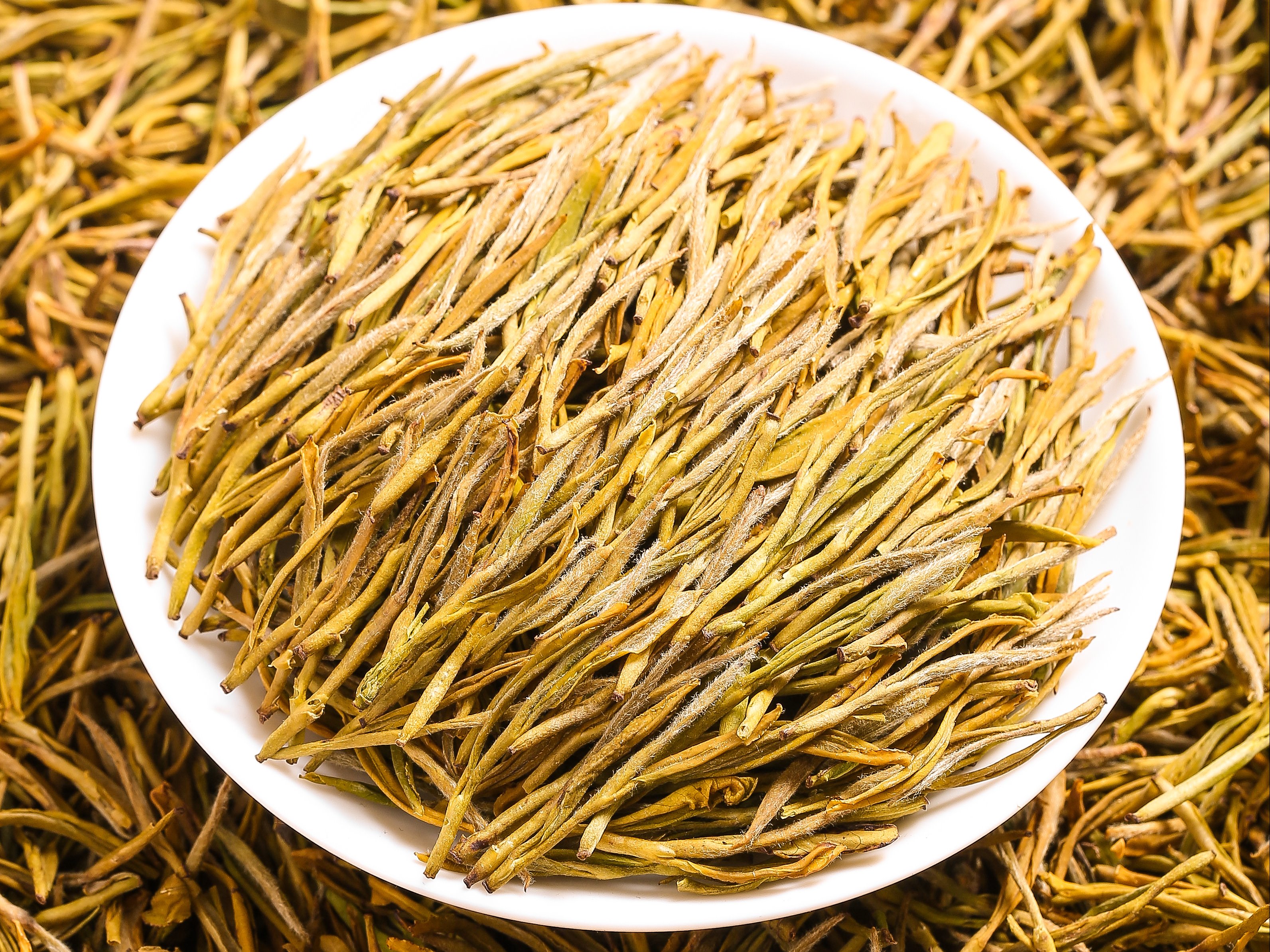 黄金芽是什么茶?绿茶中的"大熊猫"你了解多少?