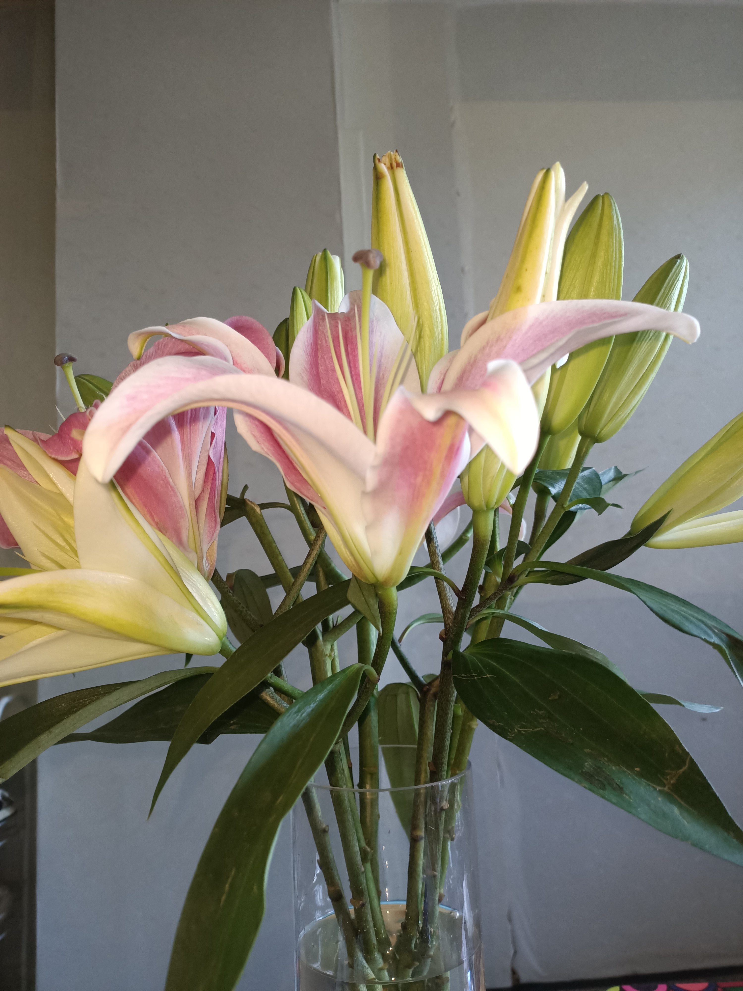 在家中放上一束百合花,高贵而典雅,彰显着主人不平凡的品味,一束百合