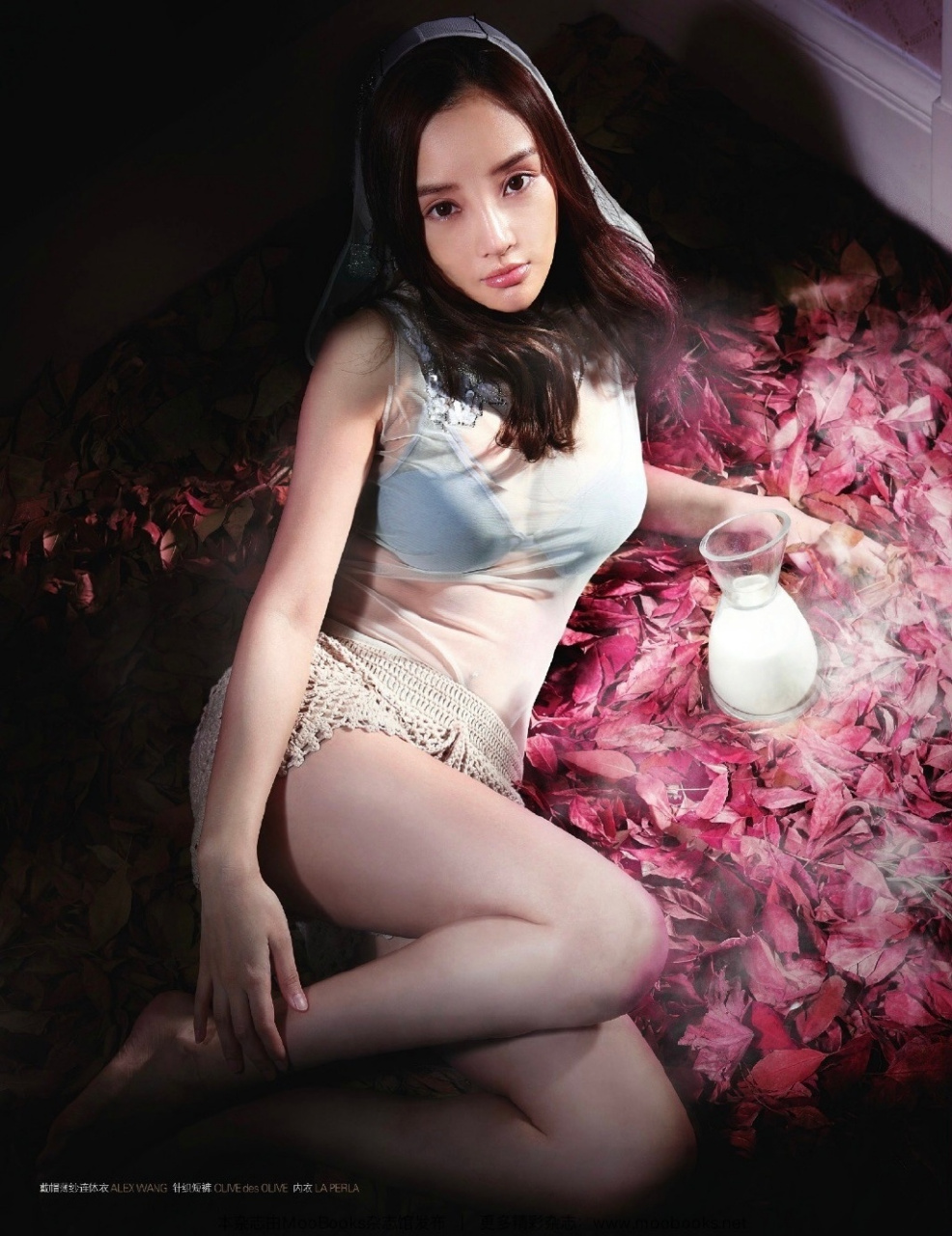 李小璐的早期杂志大片,犹如一幅精美的画作,展现出她的优雅与美丽.