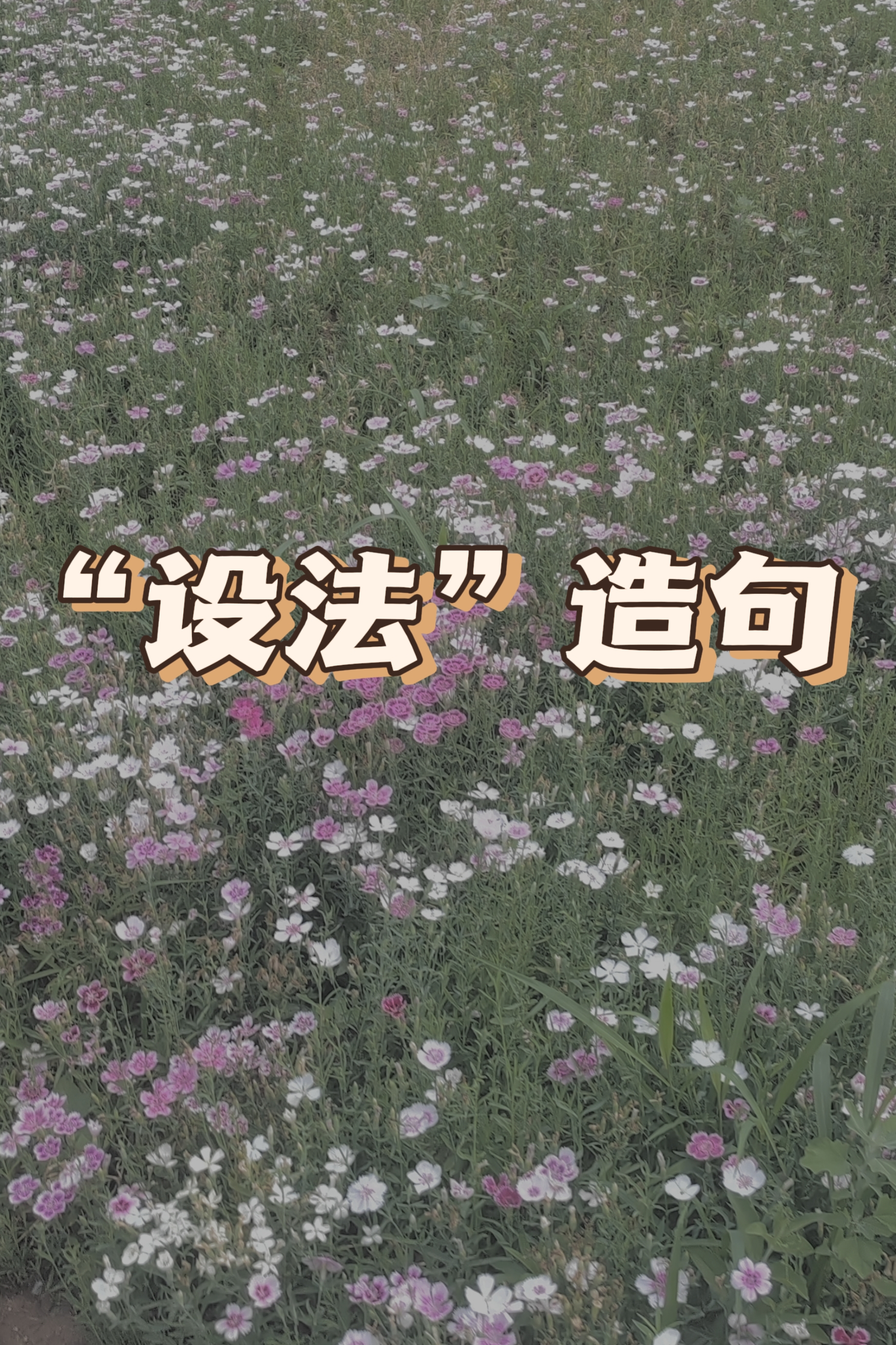 "设法"如何造句?