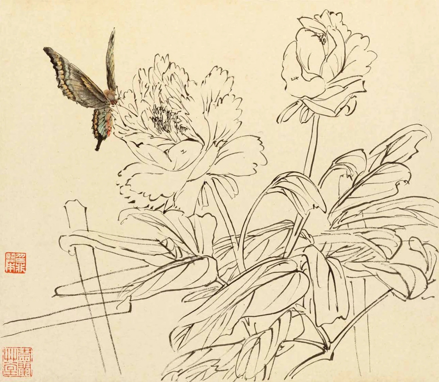 陆抑非白描花鸟,这线稿水平一流,想学国画的朋友可以收藏了!