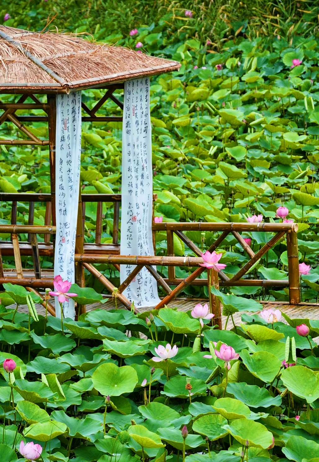 这里是绍兴上虞的"小西湖",适合周末闲逛,花束和小竹筏真的太出片了