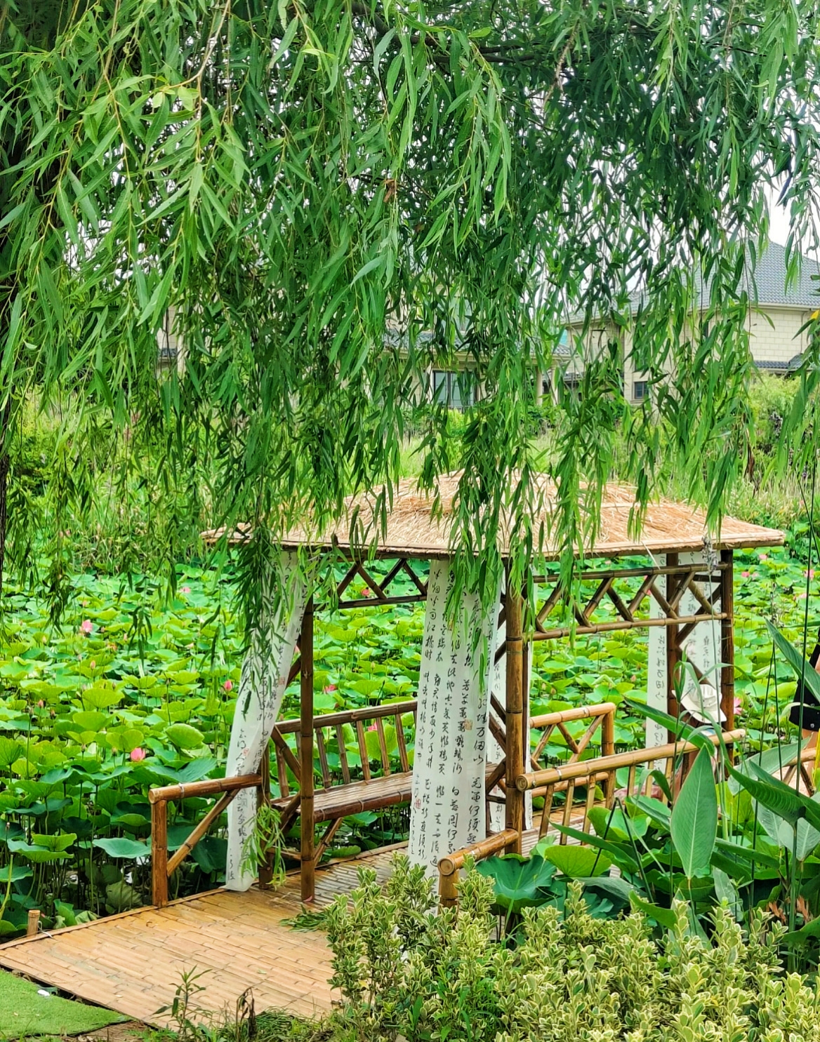 这里是绍兴上虞的"小西湖",适合周末闲逛,花束和小竹筏真的太出片了