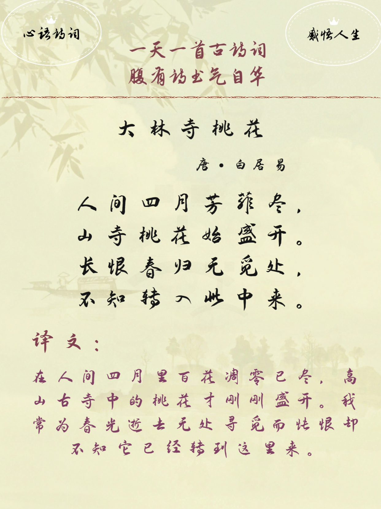 学古诗,大林寺桃花,唐,白居易