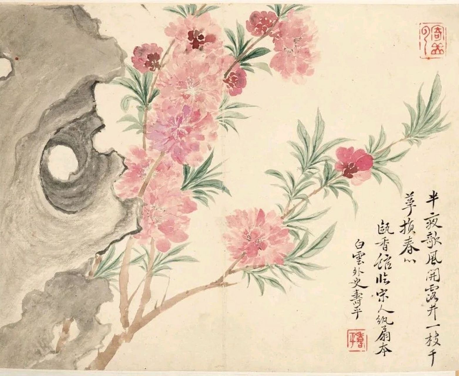 恽寿平没骨花卉,清新洒脱,绝了!