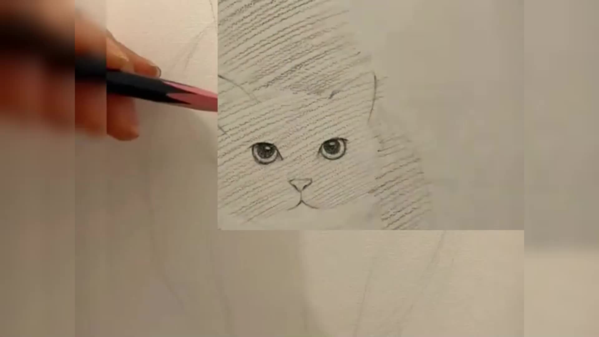 画最简单的小猫怎么画图片
