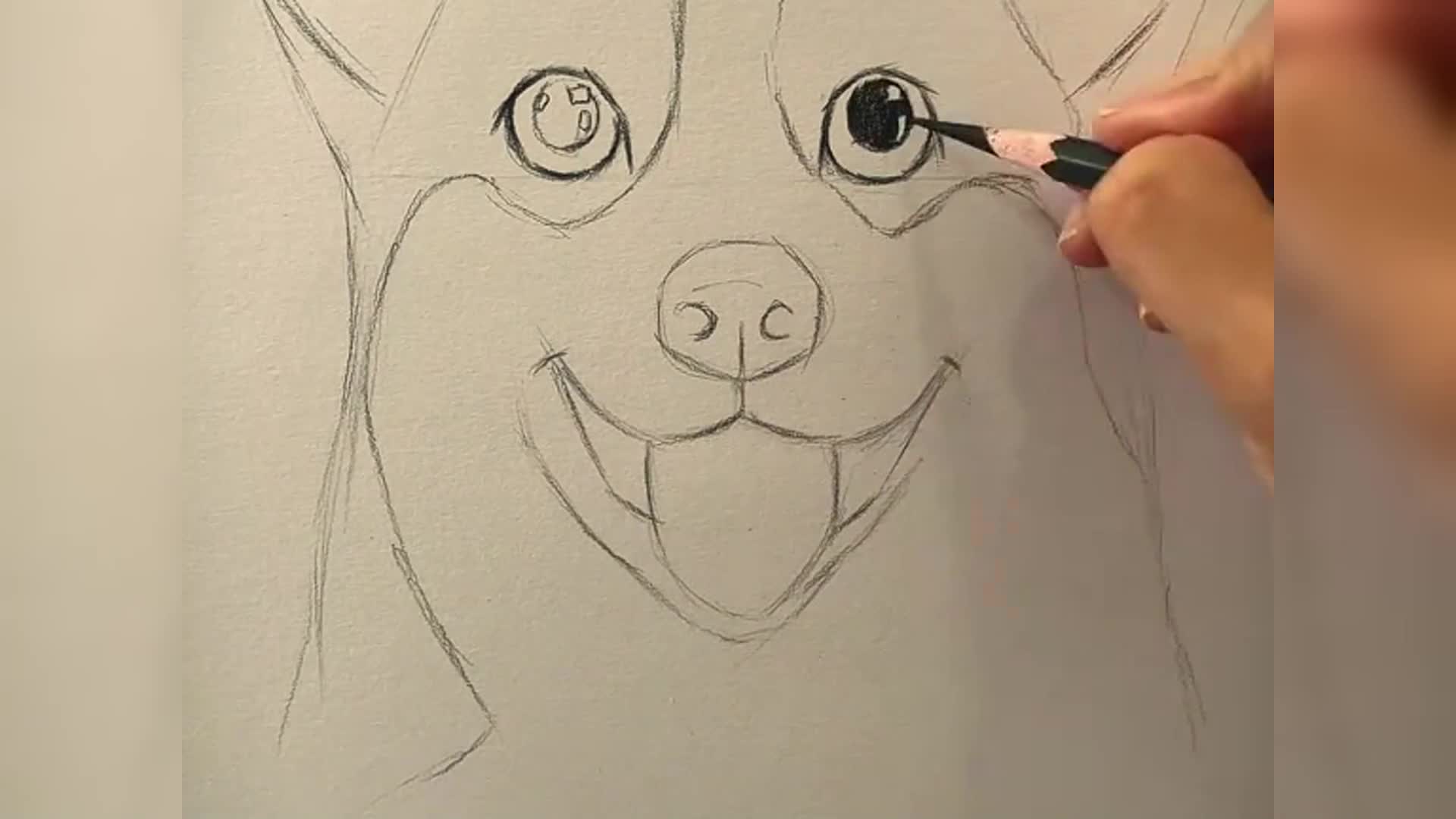 如何画柯基犬铅笔画