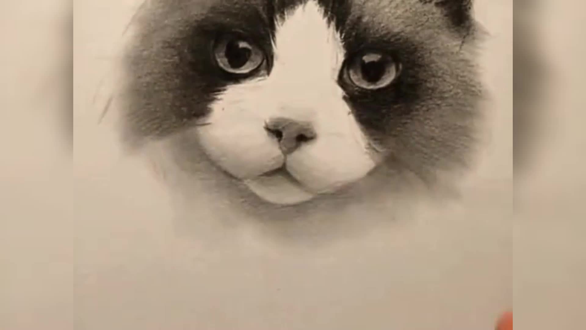 如何画猫脸铅笔画