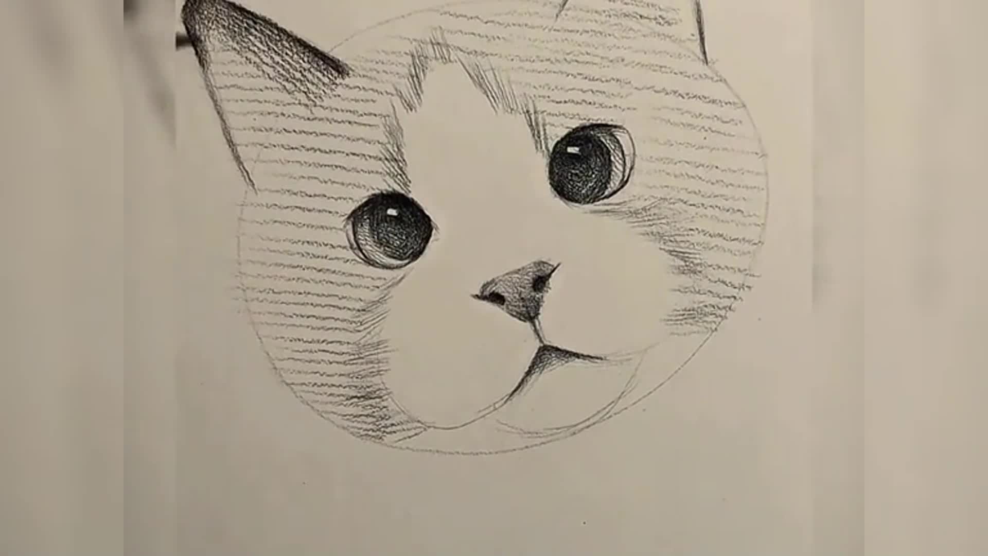 如何画一只可爱的猫图9