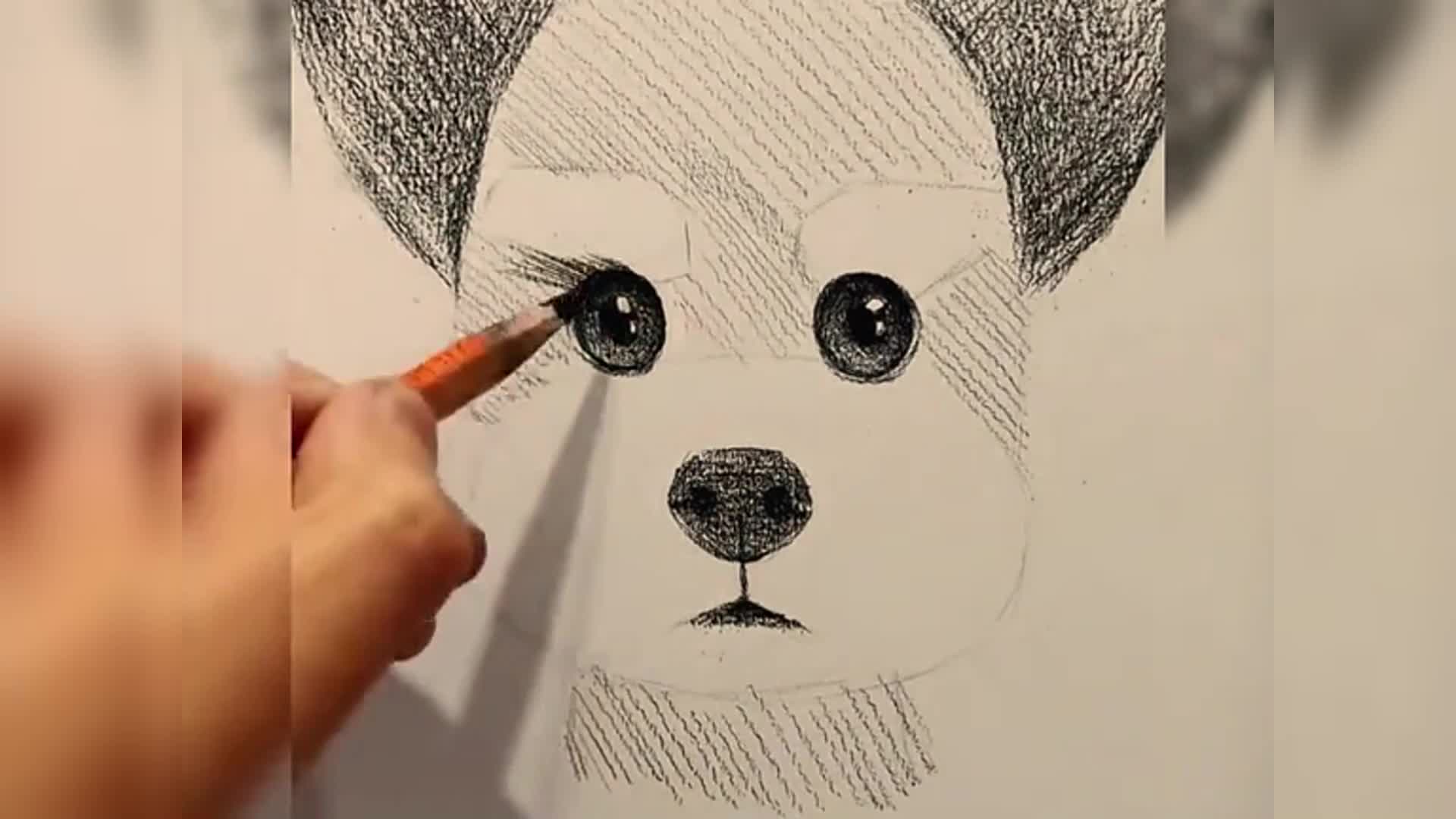 如何画狗铅笔画1