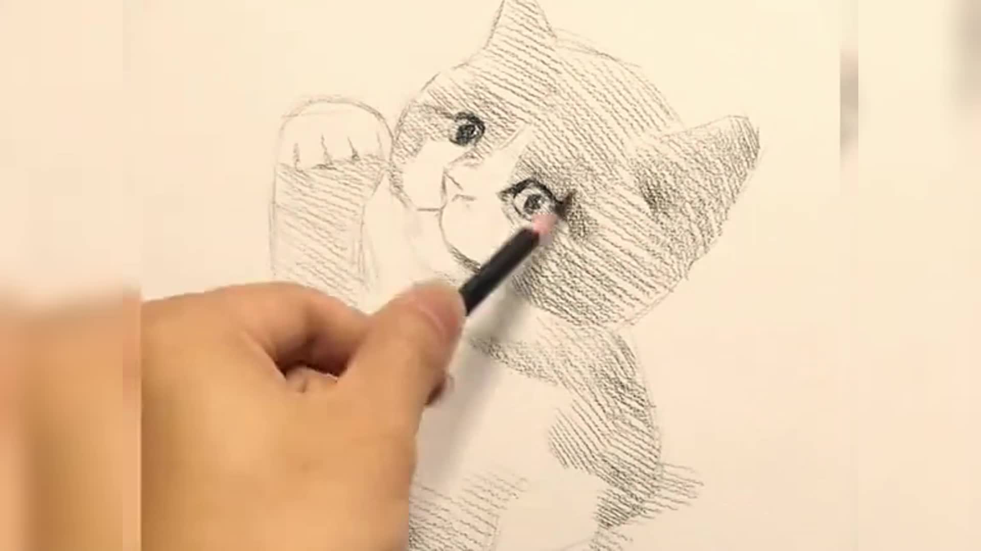 如何画猫铅笔画