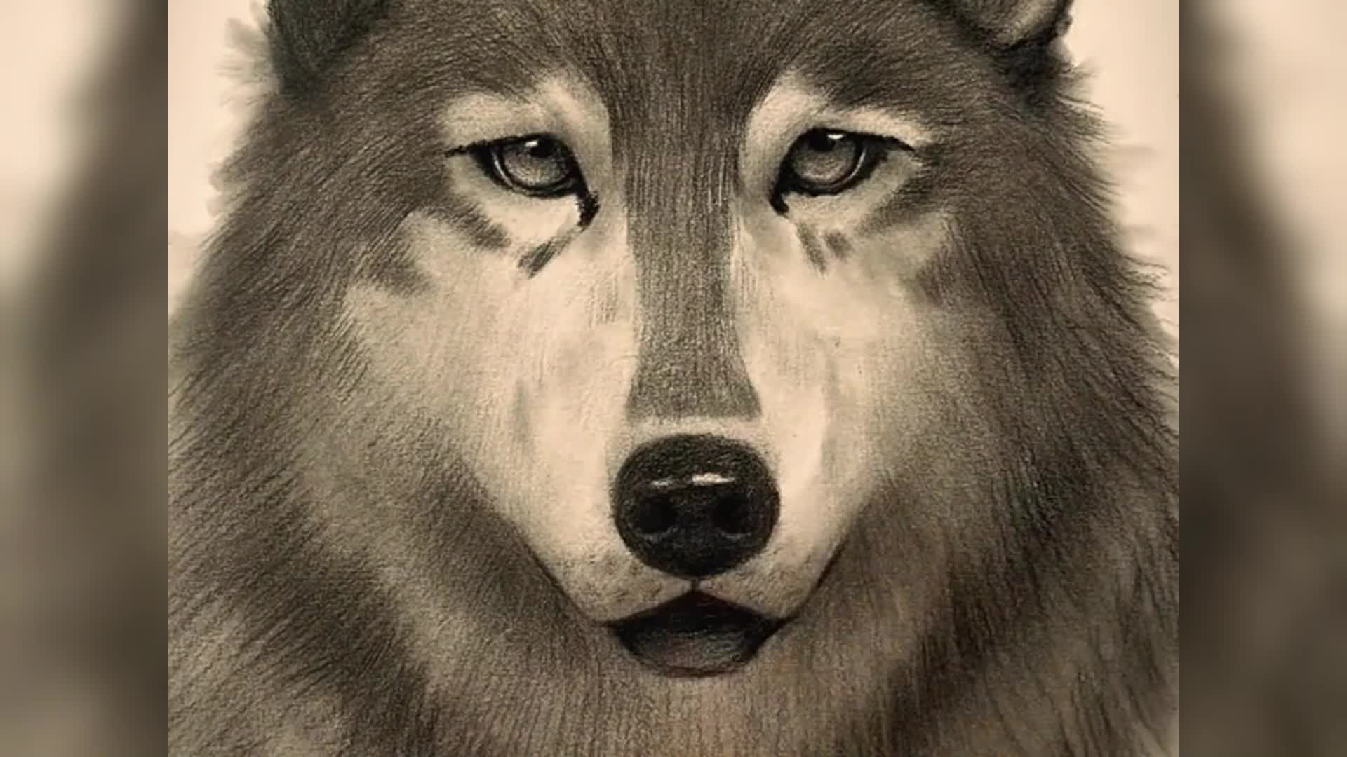 狼怎么画才霸气图片