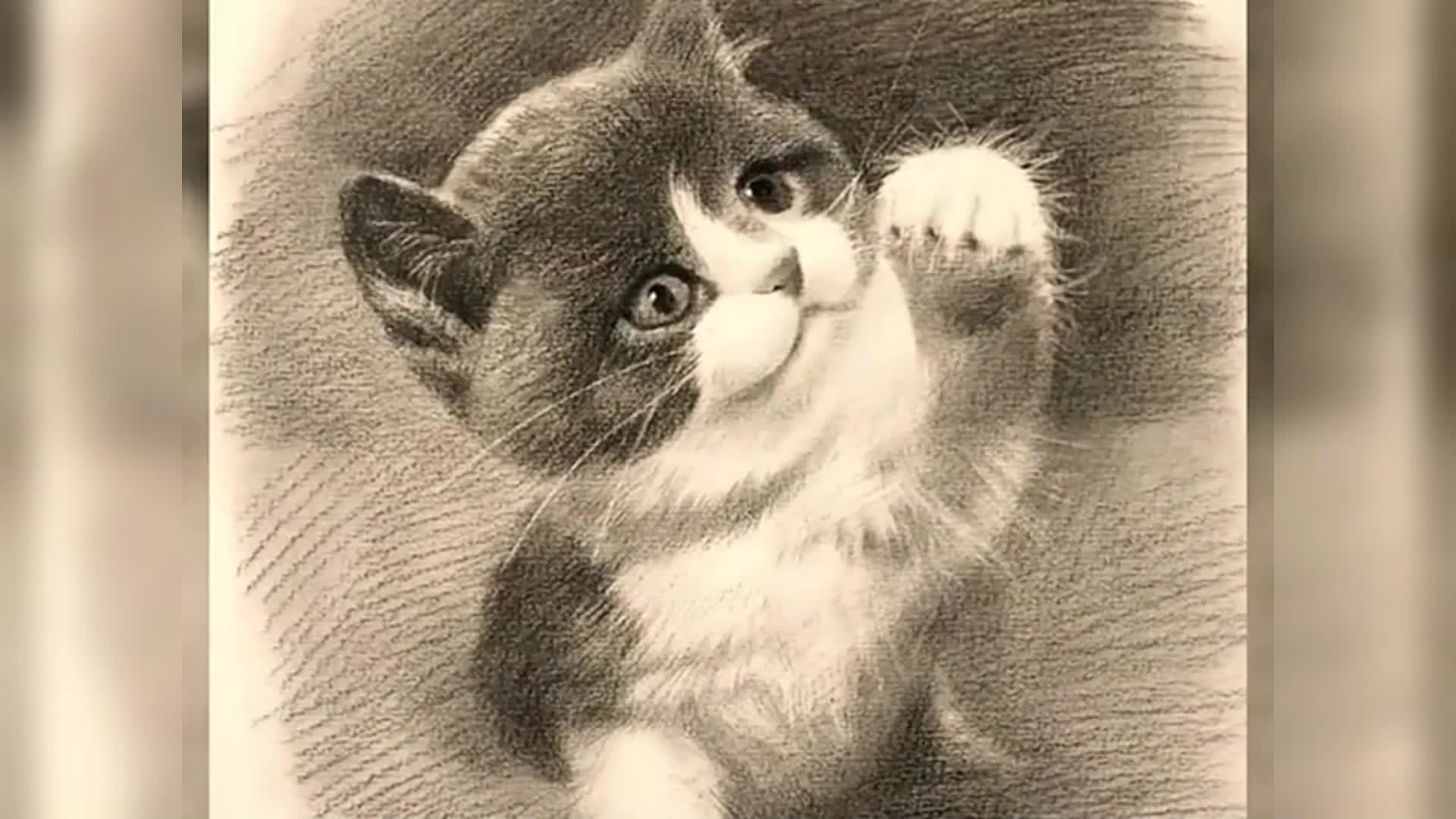 猫咪怎么画比较可爱图片