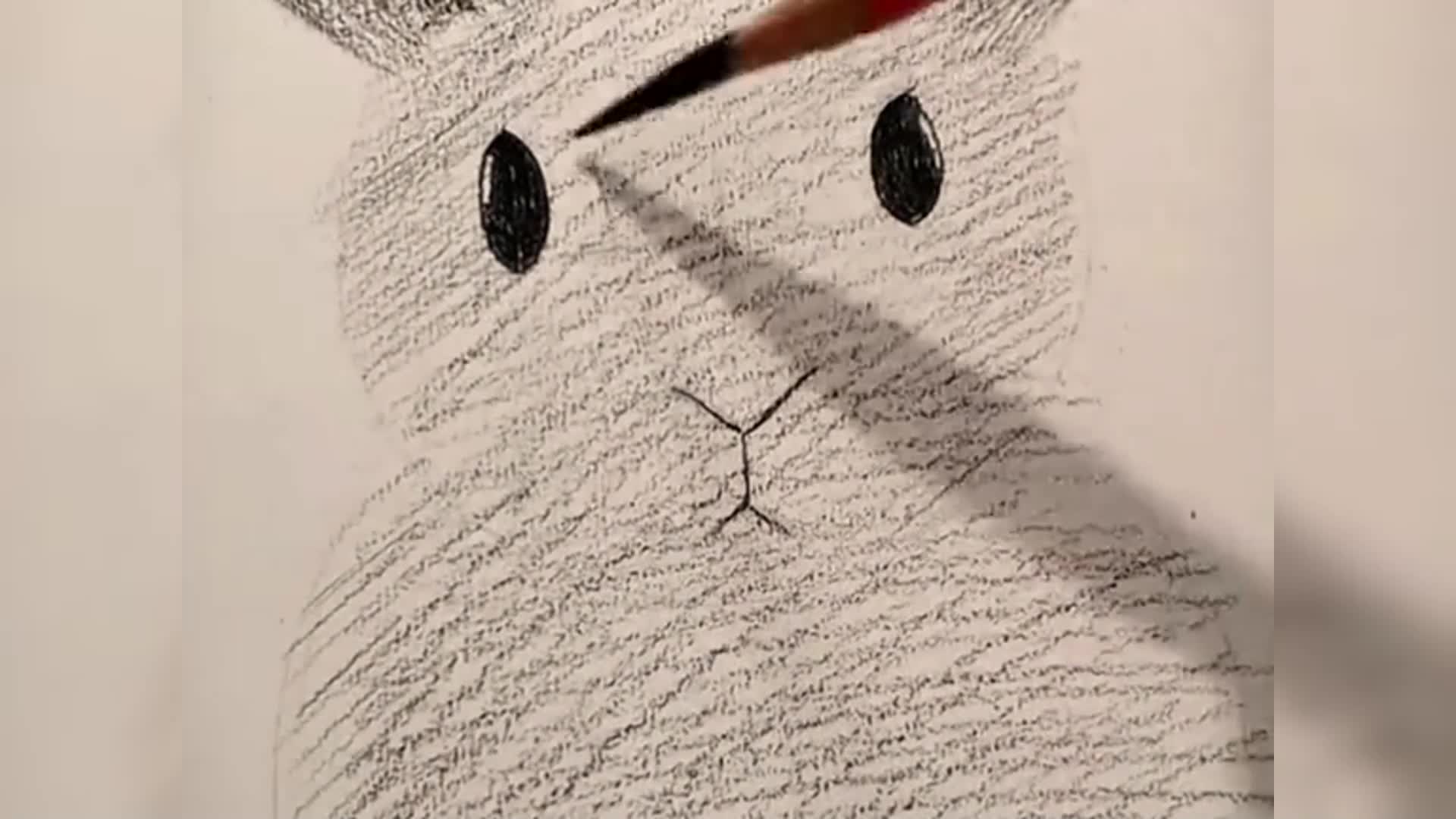 如何画兔子铅笔画