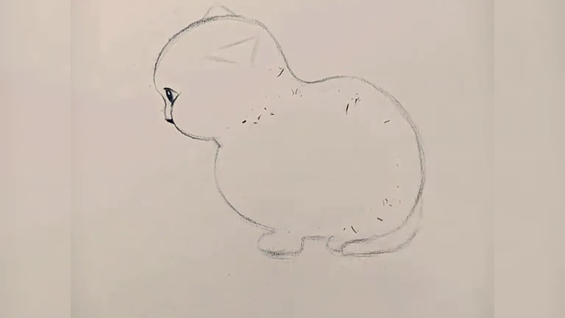 如何画小猫铅笔画