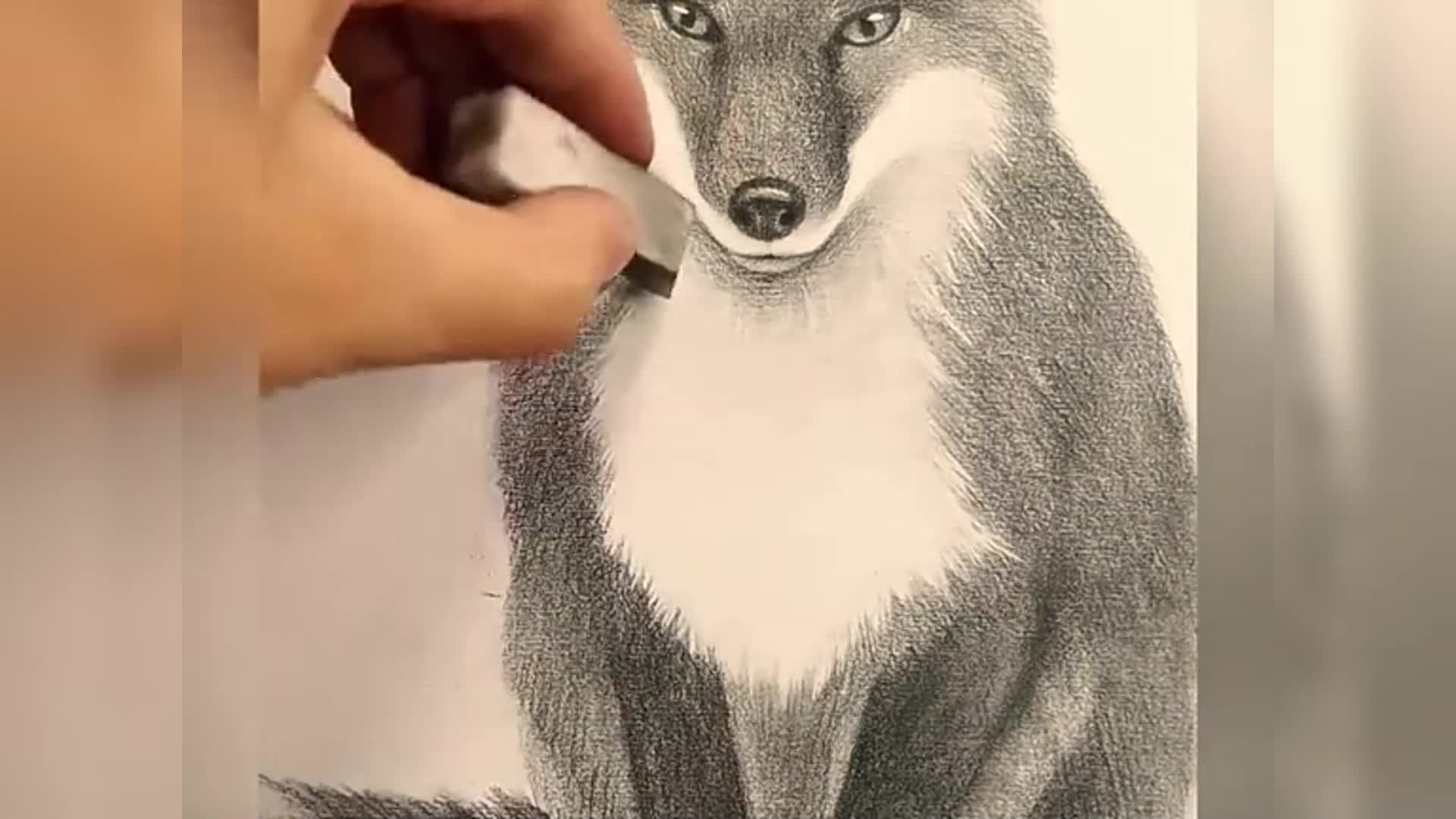 如何画狐狸绘图