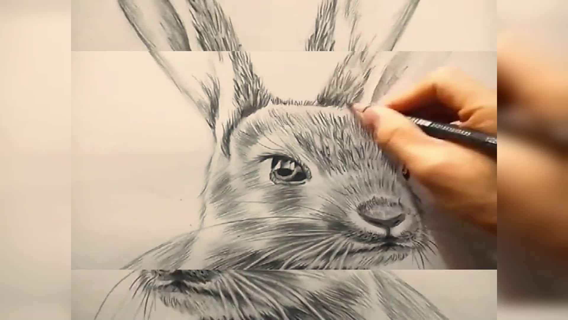 如何画兔子铅笔绘图2