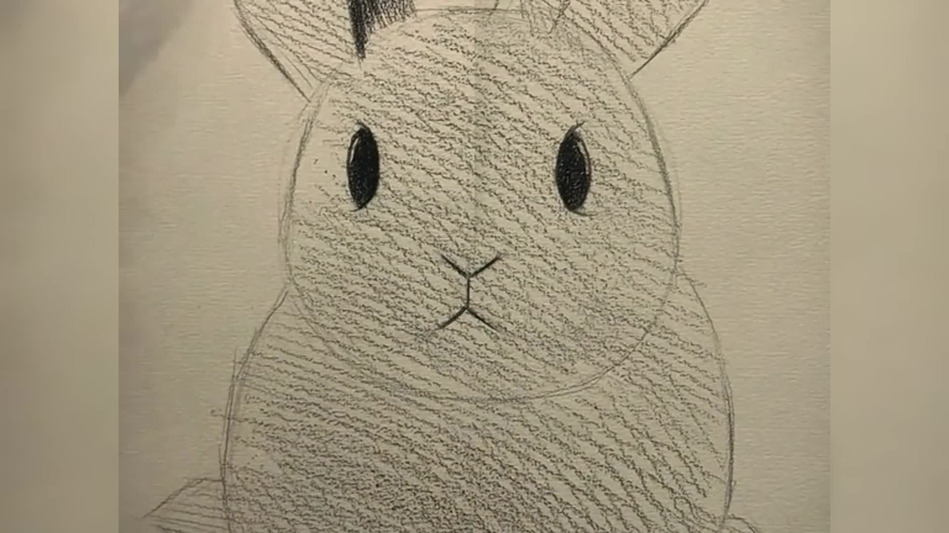 如何画兔子画t