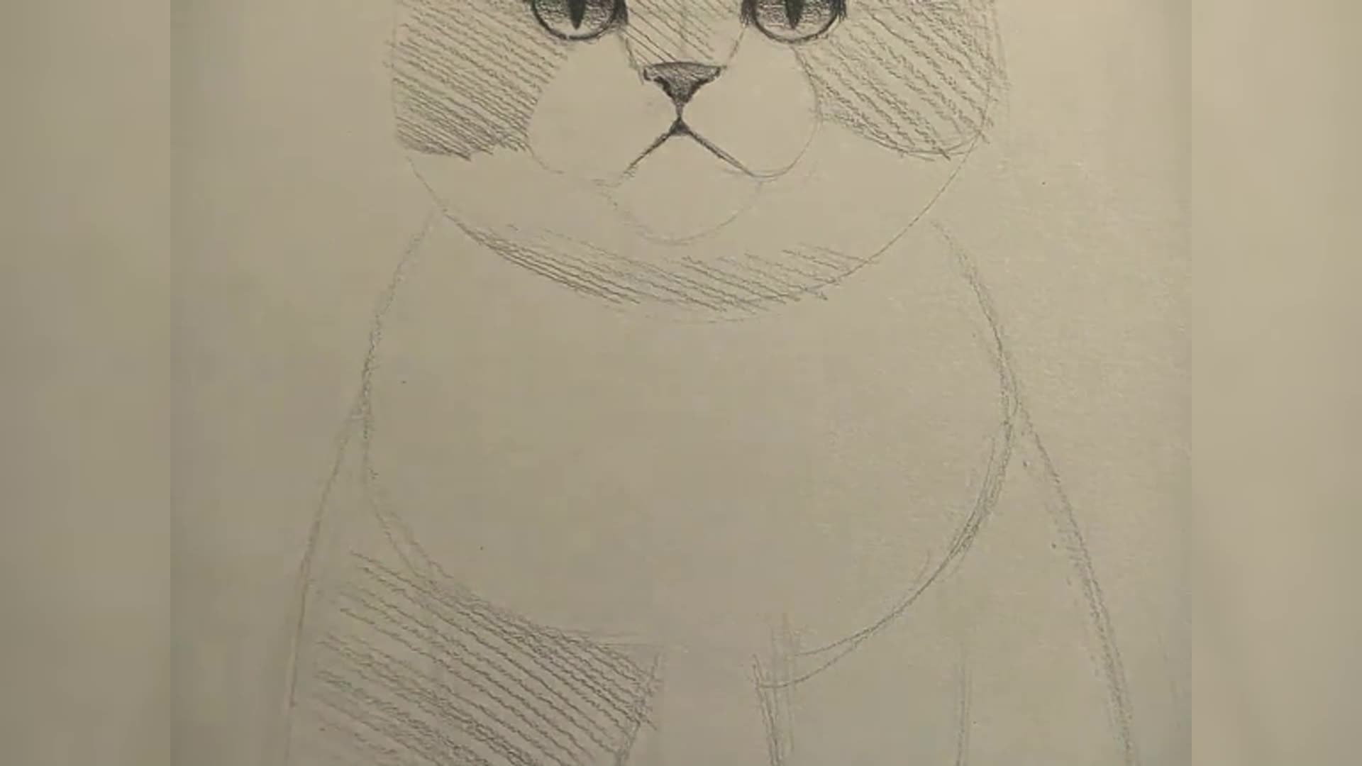 如何画猫铅笔绘图3