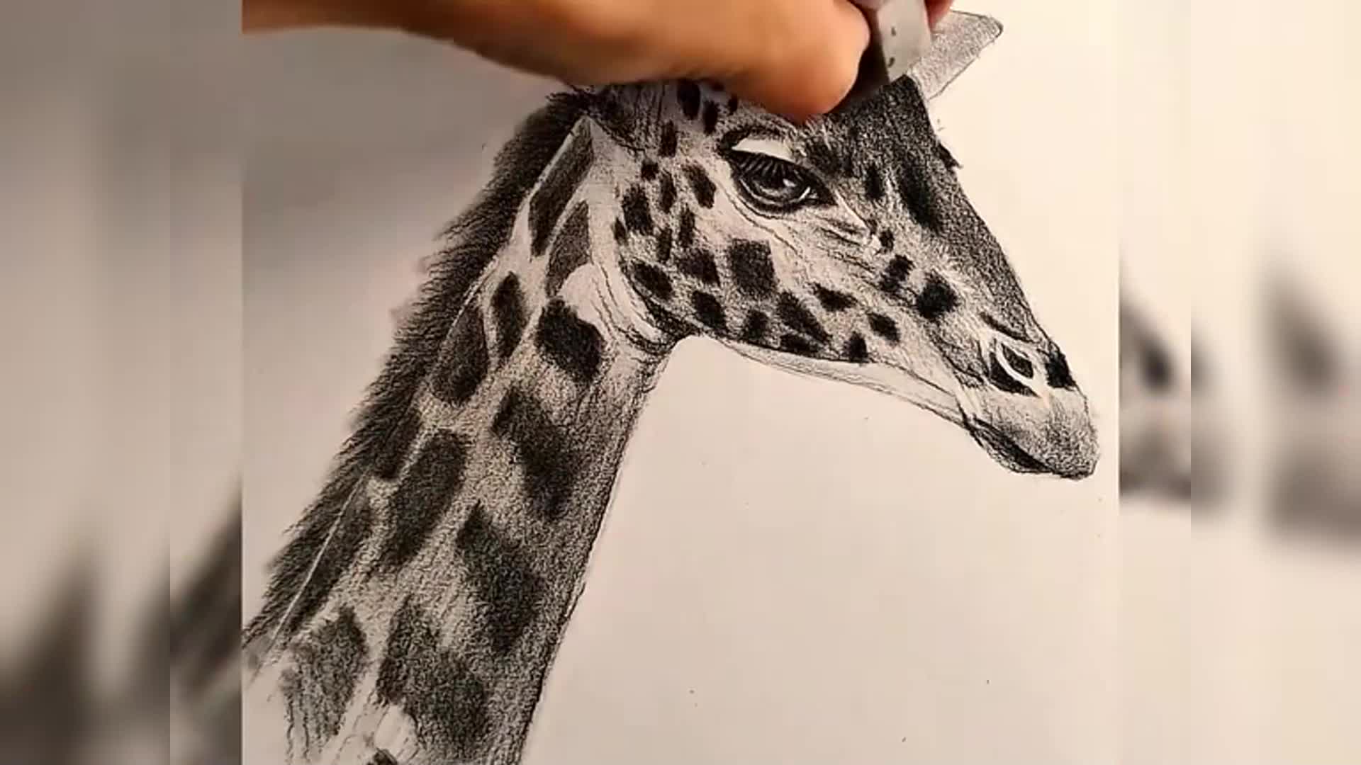 如何画长颈鹿铅笔画
