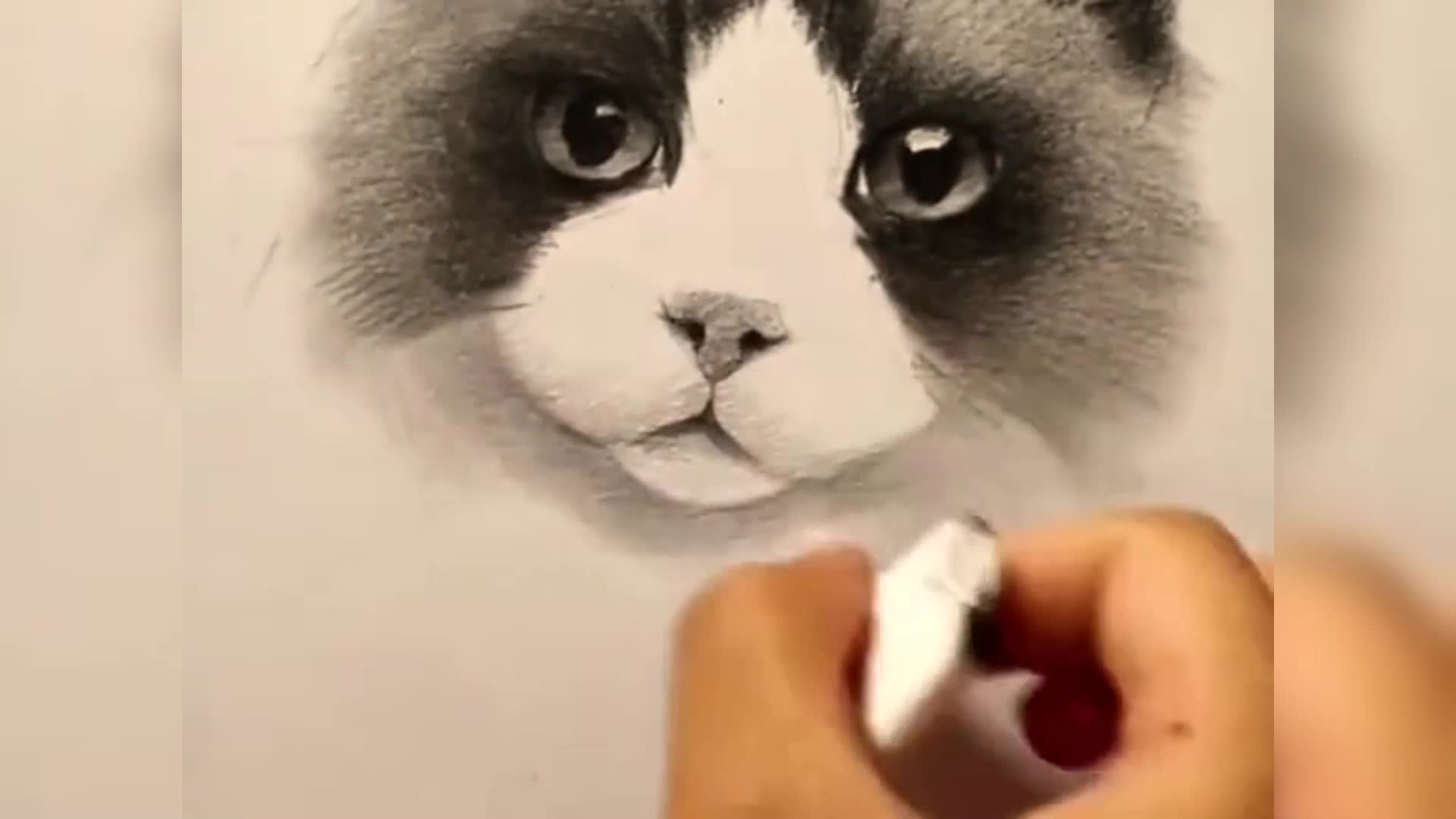 如何画猫脸铅笔画