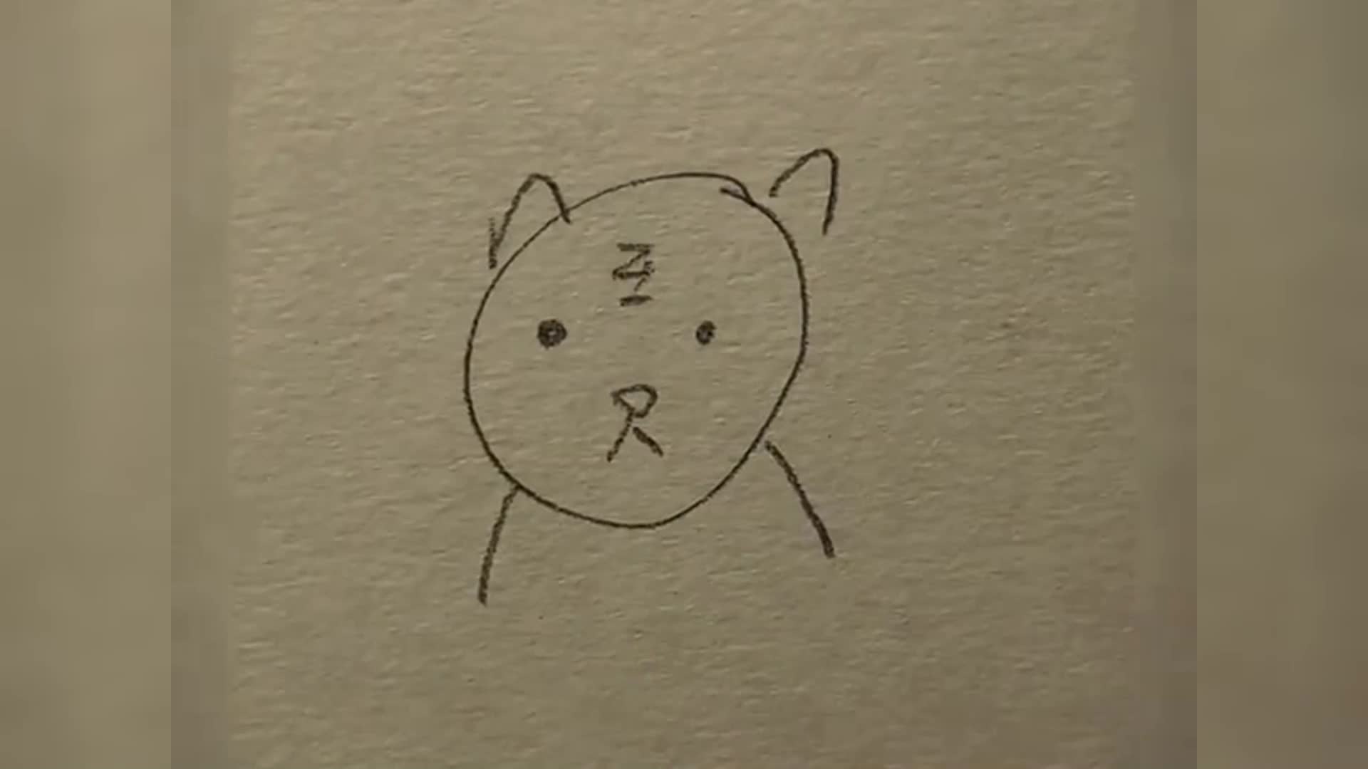 如何画老虎drawing z