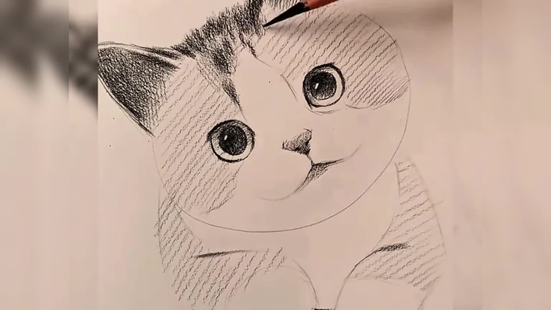 如何画一只可爱的小猫铅笔画